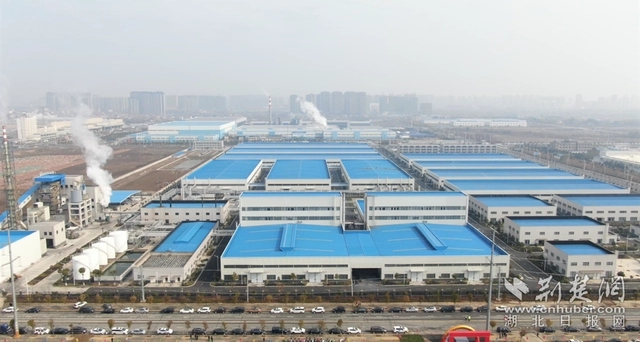 園區(qū)企業(yè)。記者 魯偉龍 攝.webp.jpg